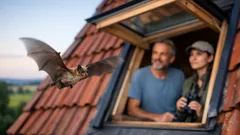 Fledermäuse und Viren: wann Nähe wirklich riskant wird