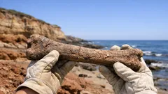 Neue Theropoden-Fossilien aus Victoria: warum Megaraptoriden in der Unterkreide wohl die Top-Jäger waren