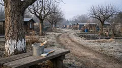 Obstbäume weißeln: So schützt du Stamm und Rinde vor Frostrissen im Spätwinter